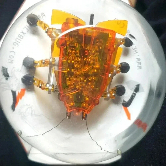 Hexbug original micro robotic creature toy - Picture 5 of 6